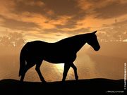 Cheval en 3D (1024x768px)