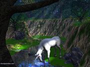 Nom : Licorne en 3D
Résolution : 800x600 pixels