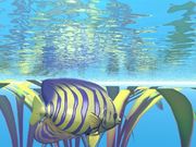 Poisson tropical en 3D (1024x768px)