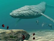 image 3d baleine (1024x768px)