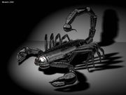 Nom : Scorpion robot en 3D
Résolution : 1024x768 pixels