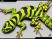 Nom : Salamandre en 3D
Résolution : 1024x768 pixels