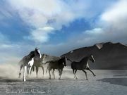 Chevaux en 3D (1024x768px)