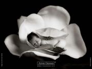 Anne Geddes- bébé en noir et blanc (1024x768px)