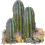 Plante cactus (45x45px)