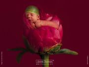 Anne Geddes- bébé fleur (1024x768px)