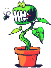 Plante carnivore (108x143px)