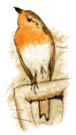 Arboricoles (80x142px)