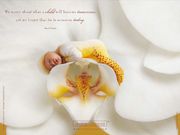 Anne Geddes- bébé fleur (1024x768px)