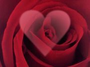 Saint Valentin (1024x768px)