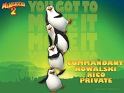Madagascar 2- pingouins (1280x960px)
