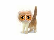 Petit chaton (1024x768px)
