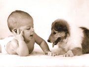 Bébé et chiot (1024x768px)