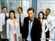 Dr House (1024x768px)