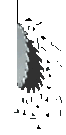 Outil (80x163px)