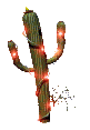 Plante cactus (81x117px)