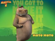 Madagascar 2- Moto Moto (1280x960px)