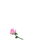 Petit coeur (370x331px)
