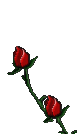 Fleur (80x140px)