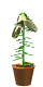 Fleur (40x80px)