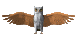 Hiboux (80x40px)