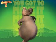 Madagascar 2- hippopotame (1280x960px)