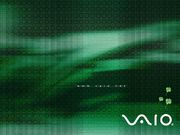 Sony Vaio (1024x768px)