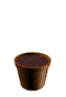 Plante en pot (60x88px)