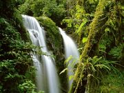 cascades (800x600px)