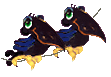 Corbeaux (111x77px)