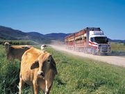 camion (1024x768px)