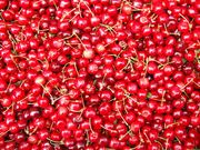 cerises (1280x960px)