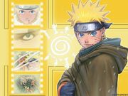 Naruto (1024x768px)