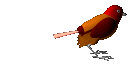 Moineaux (128x76px)