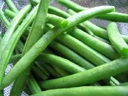 haricots verts (800x600px)