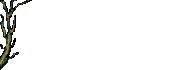 Arbre (191x75px)