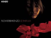 Flower by Kenzo (1024x768px)