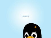 linux (1024x768px)