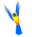 Ara (104x120px)
