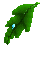 Feuilles (43x61px)