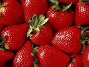 fraises (1024x768px)