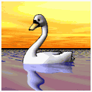 Cygnes (130x130px)