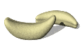Banane (120x77px)