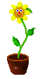 Plante en pot (57x111px)