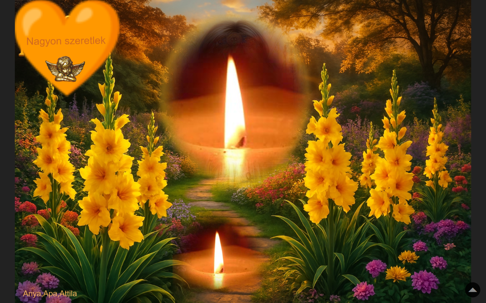 Montage létre Bloggif