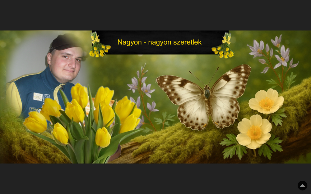 Montage létre Bloggif