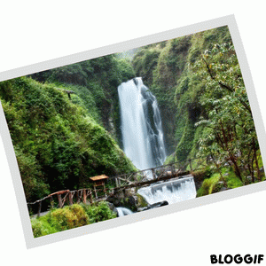 Montaje creado Bloggif