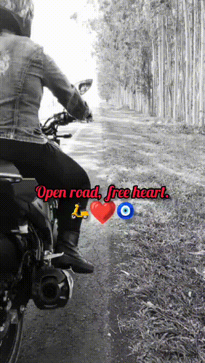 Montagem criada Bloggif