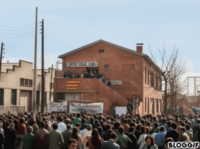 Montaje creado Bloggif