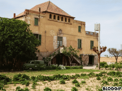 Montaje creado Bloggif